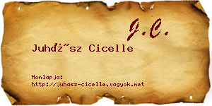 Juhász Cicelle névjegykártya